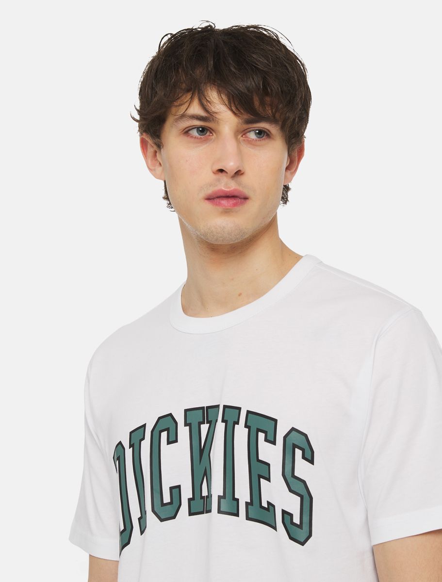 Dickies T-Shirt Aitkin A Maniche Corte