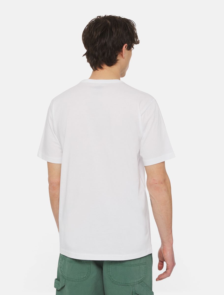 Dickies T-Shirt Aitkin A Maniche Corte