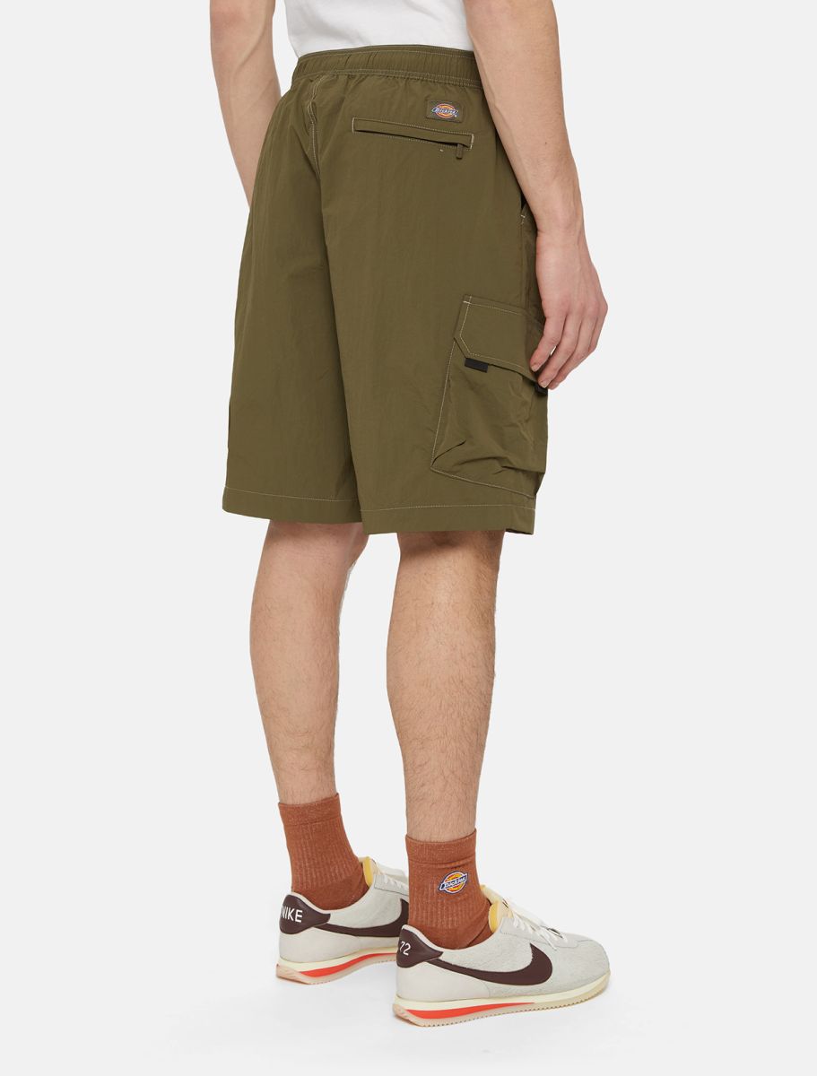 Dickies Shorts Cargo Jackson