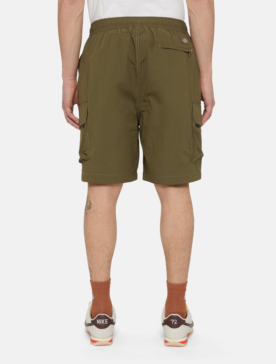 Dickies Shorts Cargo Jackson