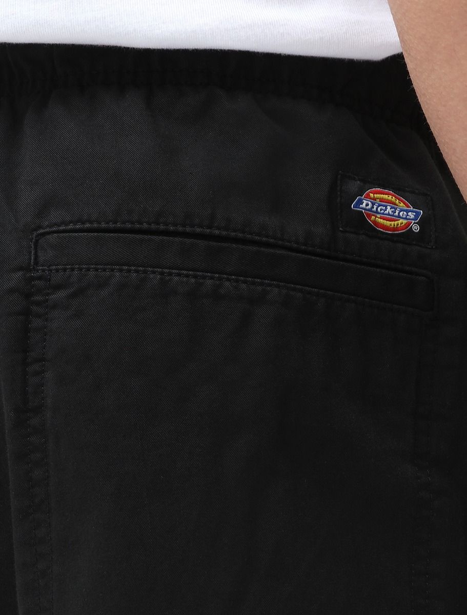 Dickies Shorts Pelican Rapids