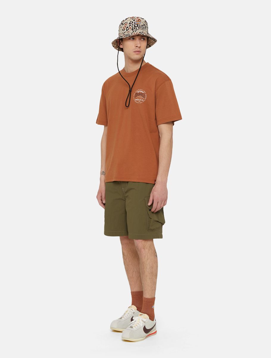 Dickies Shorts Cargo Jackson