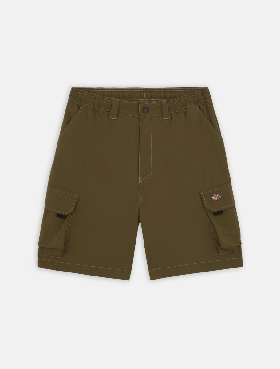 Dickies Shorts Cargo Jackson