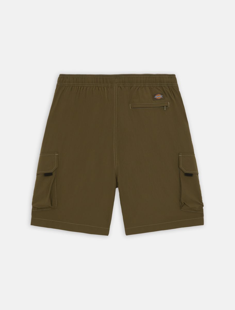 Dickies Shorts Cargo Jackson