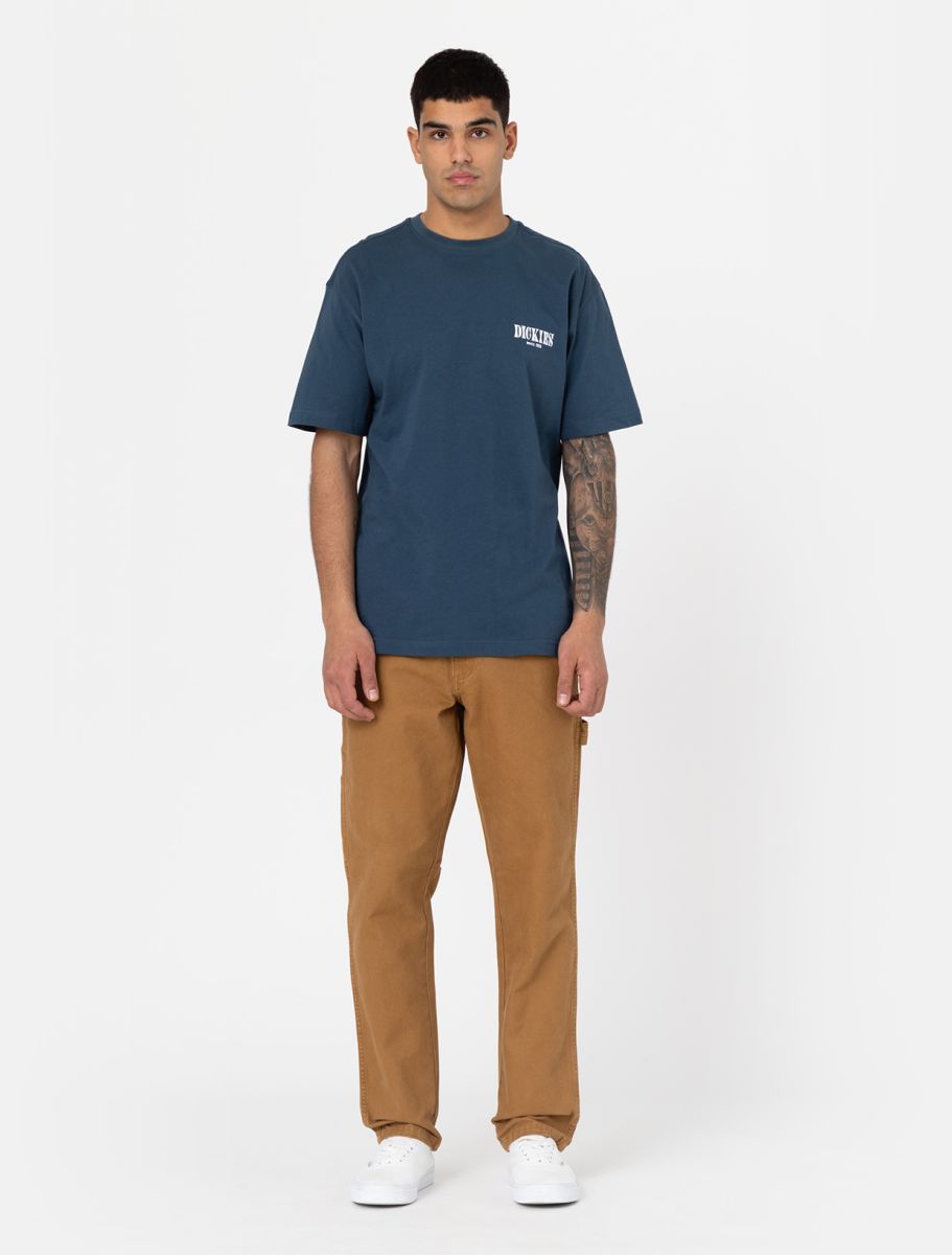 Dickies Carpenter Duck Canvas