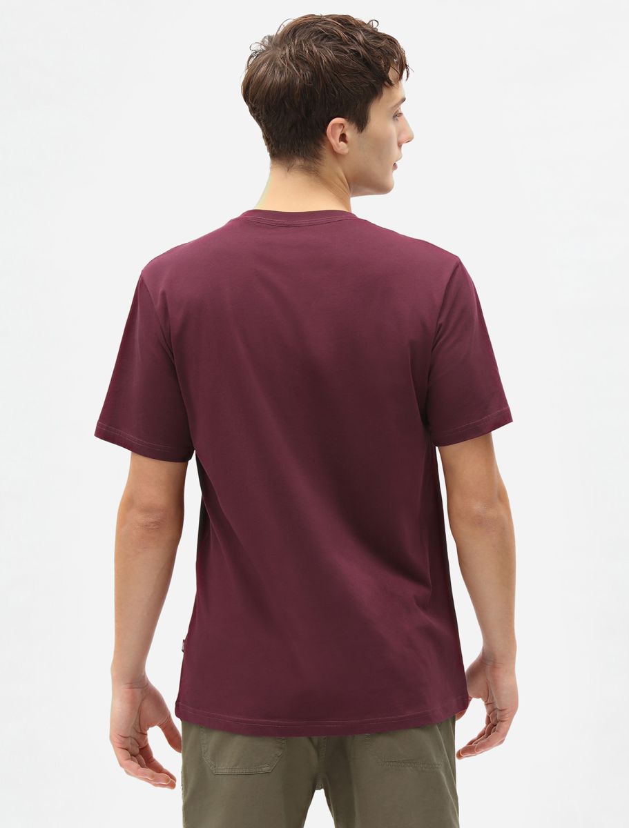 Dickies T-Shirt Mapleton A Maniche Corte